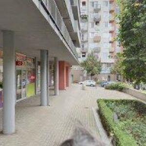 obrazek: avatar STEVAL