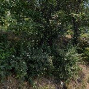 obrazek: avatar ATLANT INTERNATIONAL spol. s r.o.