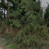 HCS KOMUNIKAČNÍ SYSTÉMY s.r.o.