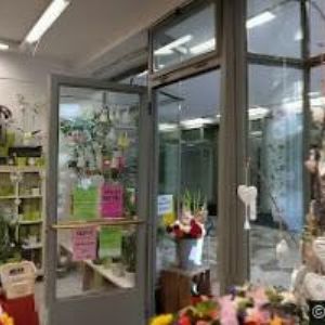 obrazek: avatar BROŽ MARTIN