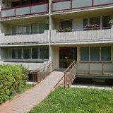 PODLAHOVÉ A DEKORAČNÍ STUDIO-NYKL PAULÍN