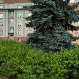 R & L PANENKA PODLAHÁŘSTVÍ