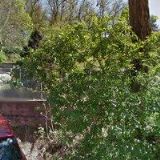 EFEKT-CARPET, s.r.o.