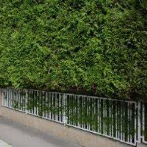 obrazek: avatar BARA, spol. s r.o.