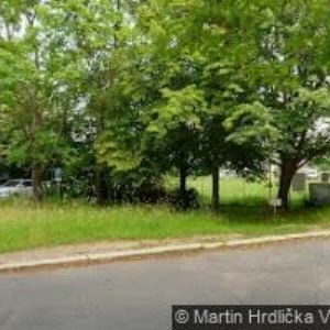 obrazek: avatar REXONIX s.r.o.