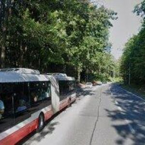 obrazek: avatar TRACO INTERNATIONAL spol.s.r.o.