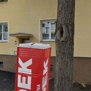 obrazek: avatar ZELISKA MARTIN