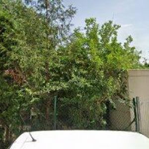 obrazek: avatar KŮS PAVEL