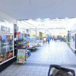 obrazek: avatar KOUKOLSKÝ JIŘÍ