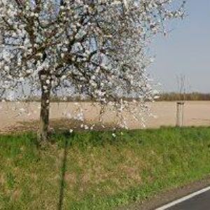 obrazek: avatar ELEKTROKOLONAMÍRU