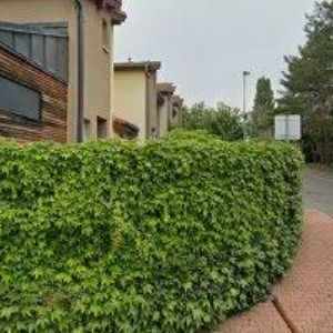 obrazek: avatar DRESSLER SPORT spol. s r.o.