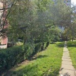 obrazek: avatar CYKLOCHODOV