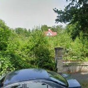 obrazek: avatar SRNCOVÁ EMMA