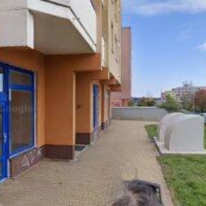 obrazek: avatar AMEDIS, spol. s r.o.