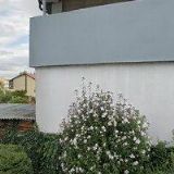 ZDRAVOTNÍ ÚSTAV MOST K DOMOVU, z.ú.