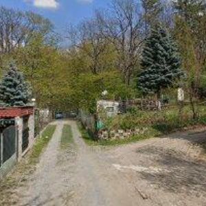 obrazek: avatar IVANKA BALCONI.CZ