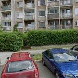 ZLATNICTVÍ JAVŮRKOVI