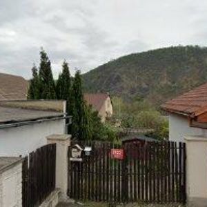 obrazek: avatar REJNOVÁ RUBKOVÁ ELIŠKA