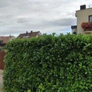 obrazek: avatar ANDRTOVÁ EVA BcA.