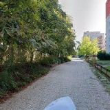 GRENDYSOVÁ KADAVÁ ALENA