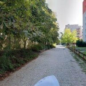 obrazek: avatar GRENDYSOVÁ KADAVÁ ALENA