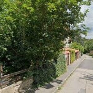 obrazek: avatar TOBACCO TRADING INTERNATIONAL CZECHOSLOVAKIA spol. s r.o.