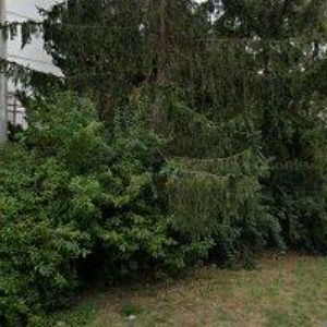 obrazek: avatar SOVTE