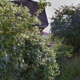 TOMÁNEK JIŘÍ Ing.