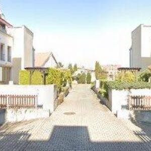 obrazek: avatar TRICOMP