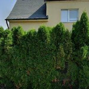 obrazek: avatar ZÍTKA ROMAN