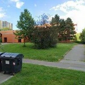 obrazek: avatar VOIPNET