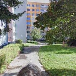 obrazek: avatar MON AMÍ PRAHA, spol. s r.o.