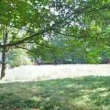 VRÁNA MIROSLAV-1. POMOC UŽIVATELŮM POČÍTAČŮ