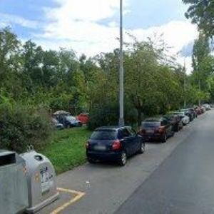 obrazek: avatar BREJCHA JAN