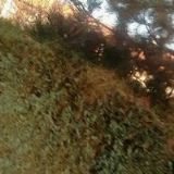 TRESKA JAN Ing.-UNITEL