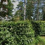 PPROI DEVELOPMENT s.r.o.