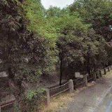 PROGRES WEBDESIGN + MARKETING