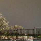 BUSINESS DATA SERVICE, spol. s r.o.