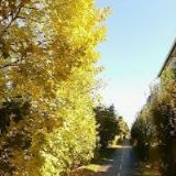 INGENIUM PRAHA, spol. s r.o.