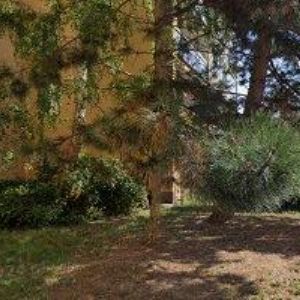 obrazek: avatar NEURON ONLINE, s.r.o.