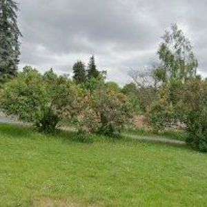 obrazek: avatar JUICYMO s.r.o.