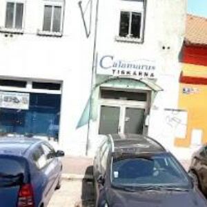 obrazek: avatar FINEESHOP