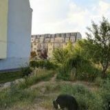 PRIMA DOMA MEDIA, s.r.o.