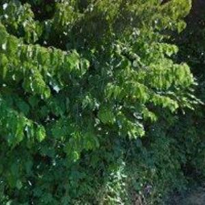 obrazek: avatar SLOŽMESE s.r.o.