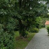 NEČASOVÁ EVA-DESIGNITY