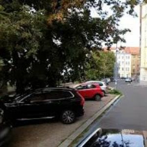 obrazek: avatar ČLUPNÁ HEDVIKA