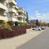 I AM FREE-FREELANCER