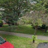 ZLATÉ ČESKÉ RUCE-I.R.P., spol. s r.o.