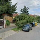 ŠTĚPNIČKA VLASTISLAV