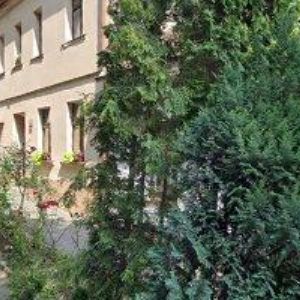 obrazek: avatar AZ RODINA